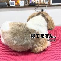 画像1007