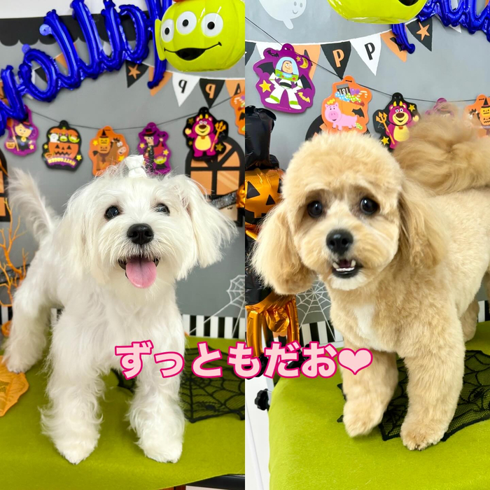 画像1014