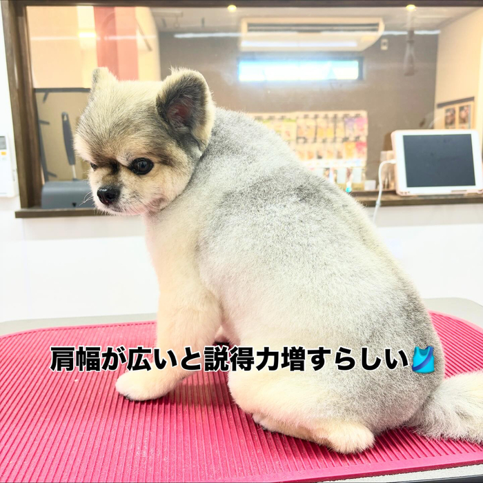 画像1033