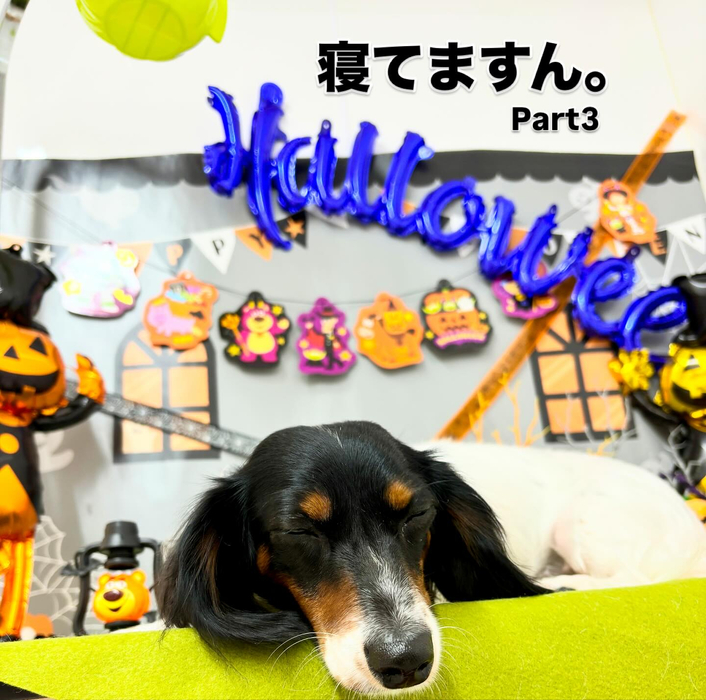 画像1058