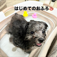 画像1071
