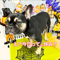 画像1078