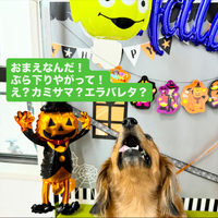 画像1088