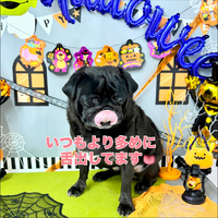画像1097