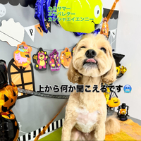 画像1105