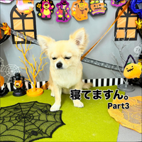 画像1112