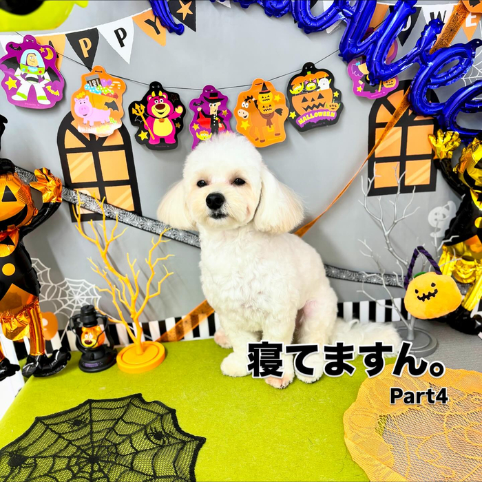 画像1121