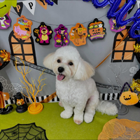 画像1128