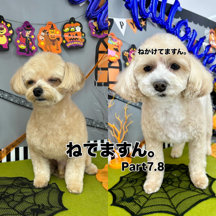 画像1139