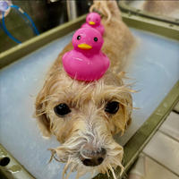 画像1147