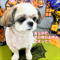 画像1157