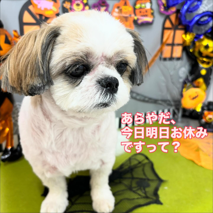 画像1157