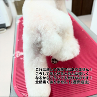 画像1164