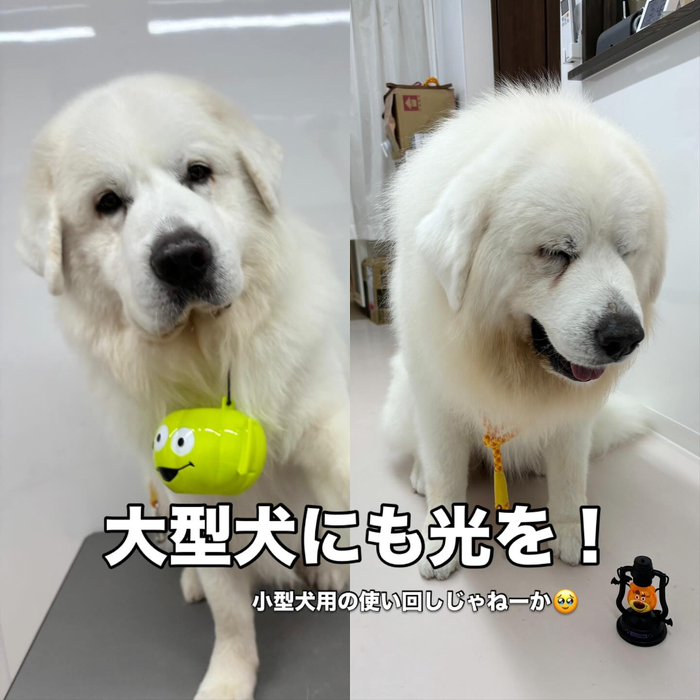 画像1214