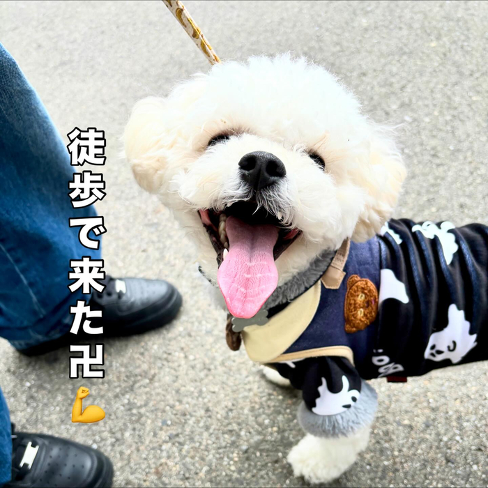 画像1225
