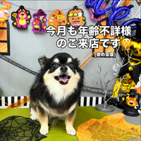 画像1248