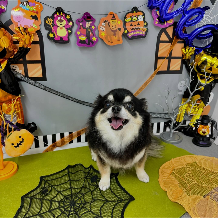 画像1255