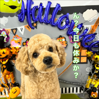 画像1312