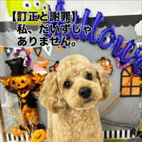 画像1323