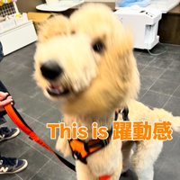 画像1325