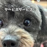 画像1342