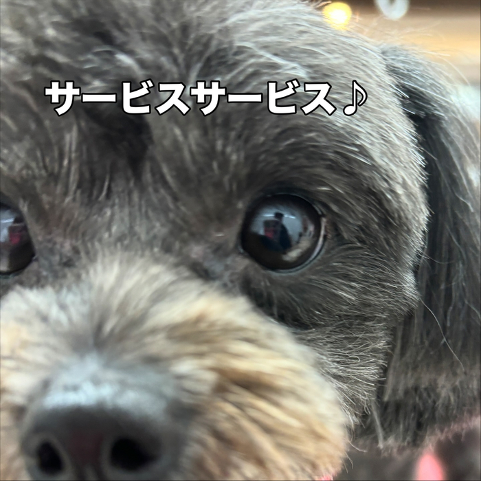 画像1342