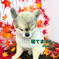 画像1351
