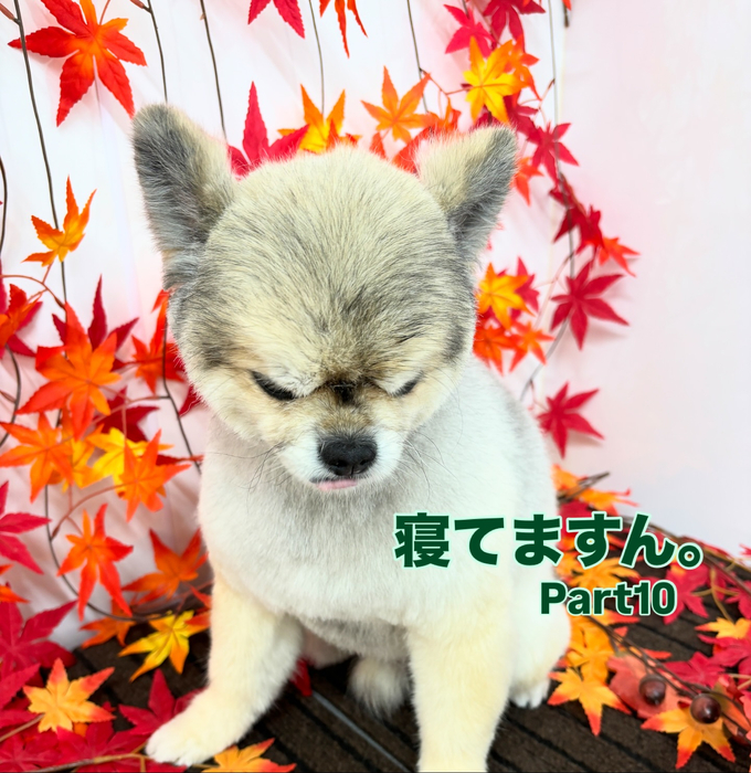 画像1351
