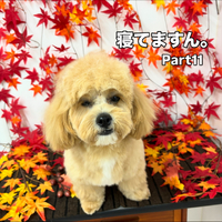 画像1359