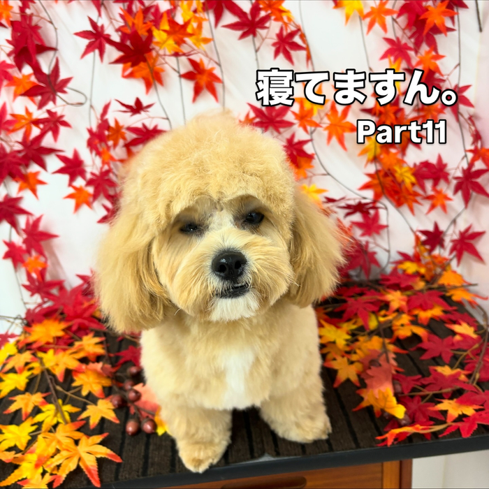 画像1359