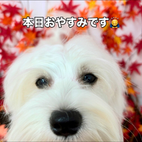 画像1370
