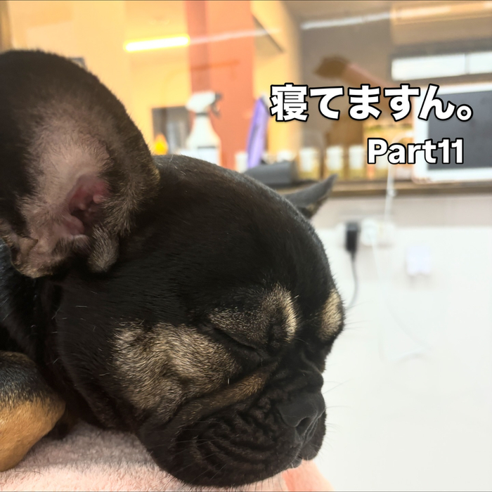 画像1377