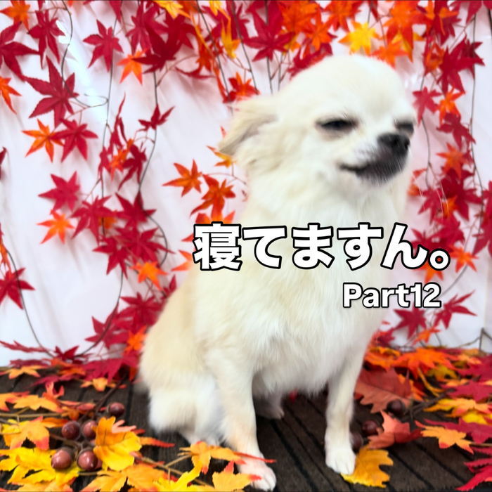 画像1406