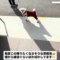 画像1421