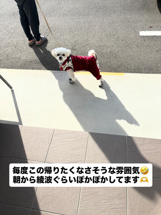 画像1421