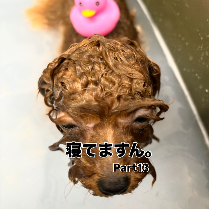 画像1427