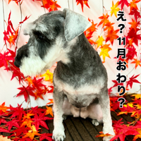 画像1453