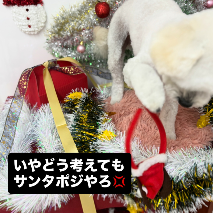 画像1473