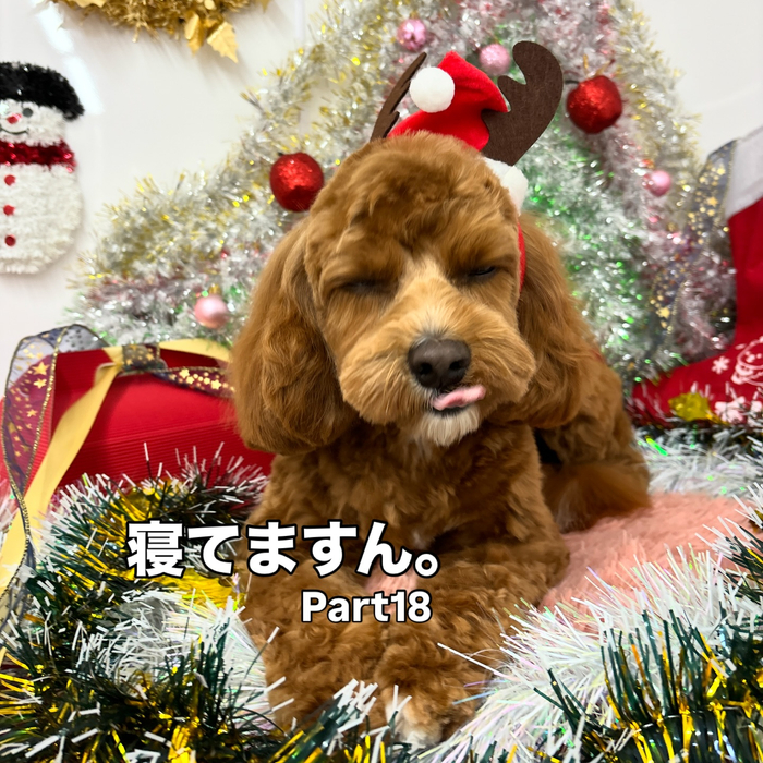 画像1510