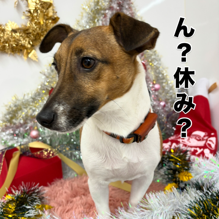 画像1520
