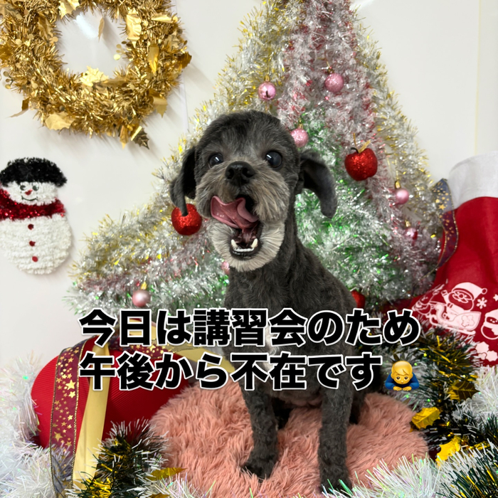 画像1531
