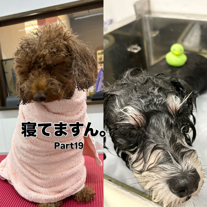 画像1541