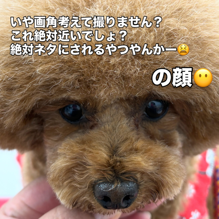 画像1609