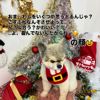 画像1626