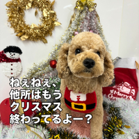 画像1709