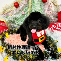 画像1716