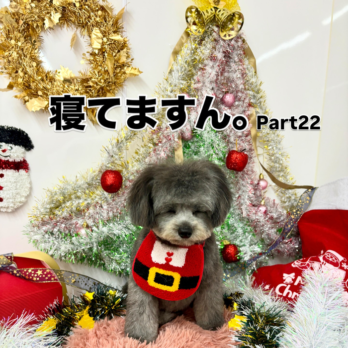 画像1736