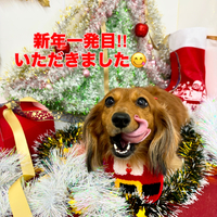 画像1760