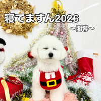 画像1766