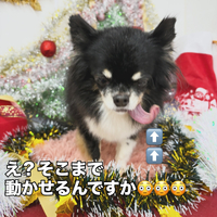 画像1773